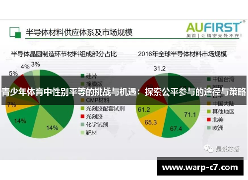 青少年体育中性别平等的挑战与机遇：探索公平参与的途径与策略