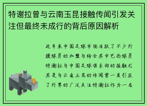 特谢拉曾与云南玉昆接触传闻引发关注但最终未成行的背后原因解析